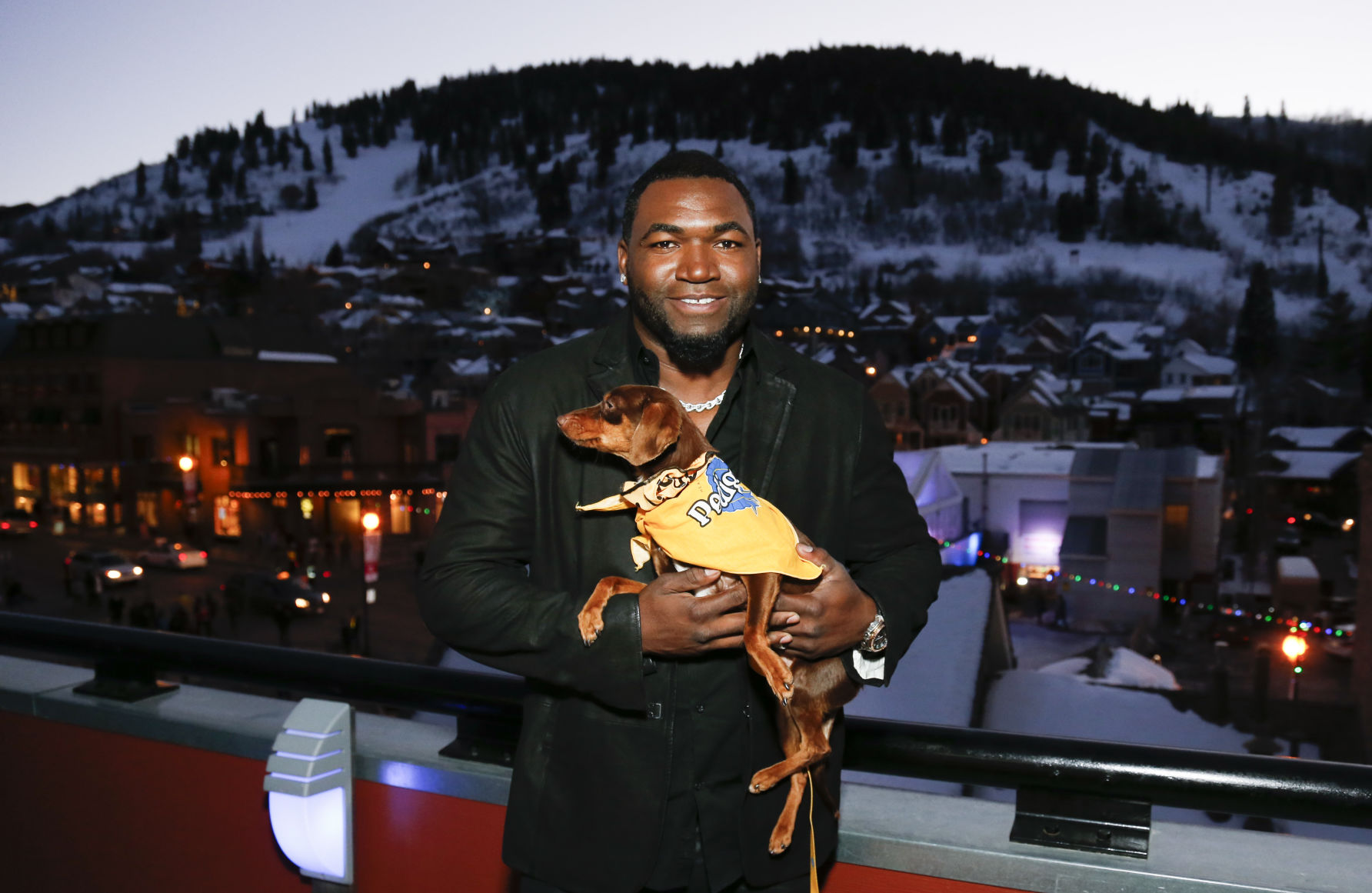 David Ortiz